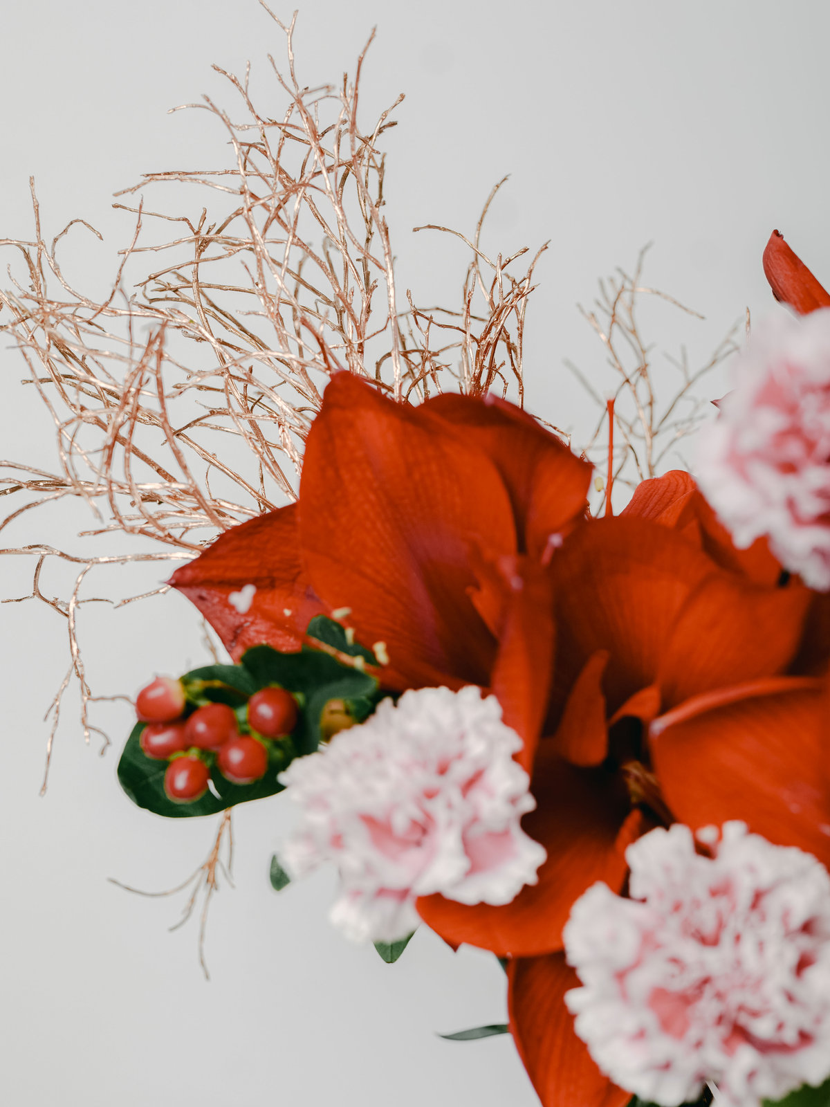 Amaryllis in tiefem Rot mit zartrosa Blüten und feinen Zweigen